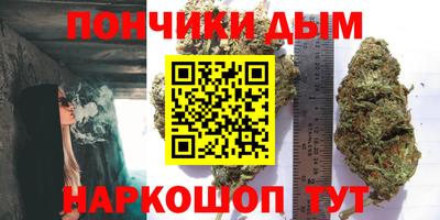 стафф Новозыбков